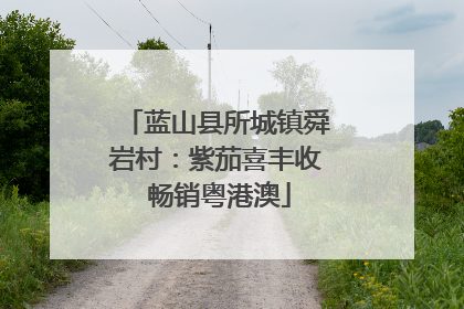 蓝山县所城镇舜岩村：紫茄喜丰收 畅销粤港澳