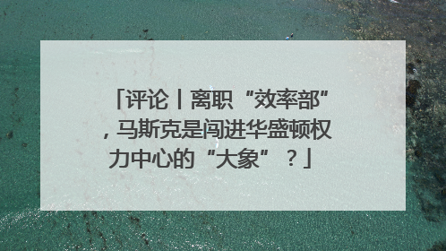 评论丨离职“效率部”，马斯克是闯进华盛顿权力中心的“大象”？