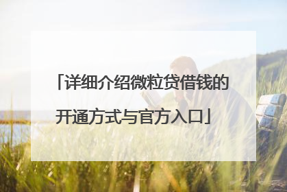 详细介绍微粒贷借钱的开通方式与官方入口