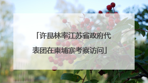 许昆林率江苏省政府代表团在柬埔寨考察访问