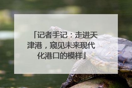 记者手记：走进天津港，窥见未来现代化港口的模样