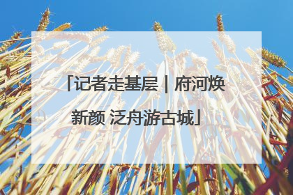 记者走基层｜府河焕新颜 泛舟游古城