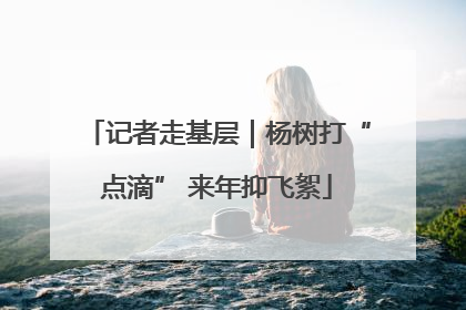 记者走基层｜杨树打“点滴” 来年抑飞絮