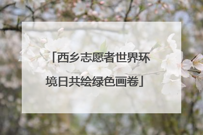 西乡志愿者世界环境日共绘绿色画卷