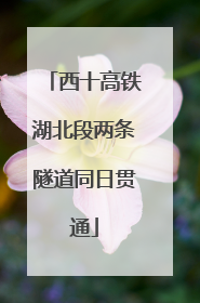 西十高铁湖北段两条隧道同日贯通