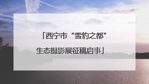西宁市“雪豹之都”生态摄影展征稿启事
