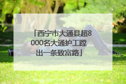 西宁市大通县超8000名大通护工蹚出一条致富路