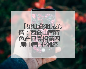 见证藏湘兄弟情：西藏山南特色产品亮相第四届中国-非洲经贸博览会