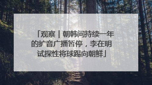观察｜朝韩间持续一年的扩音广播暂停，李在明试探性将球踢向朝鲜