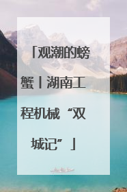 观潮的螃蟹丨湖南工程机械“双城记”