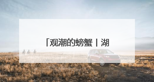 观潮的螃蟹丨湖南这里的村庄“合并同类项”