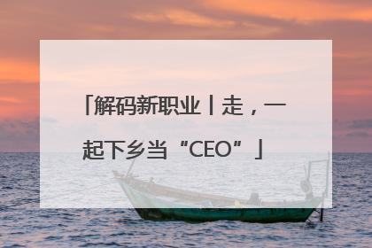 解码新职业丨走，一起下乡当“CEO”
