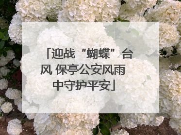 迎战“蝴蝶”台风 保亭公安风雨中守护平安