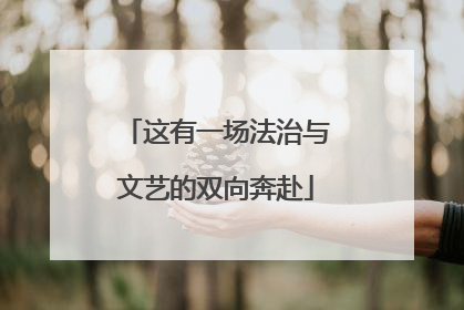 这有一场法治与文艺的双向奔赴