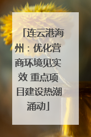 连云港海州：优化营商环境见实效 重点项目建设热潮涌动