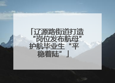 辽源路街道打造“岗位发布航母” 护航毕业生“平稳着陆”