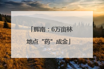 辉南：6万亩林地点“药”成金