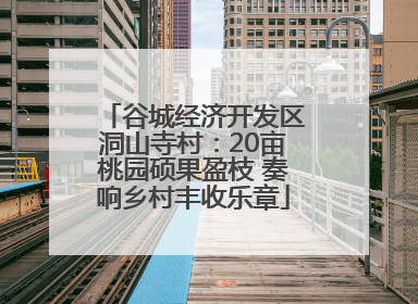 谷城经济开发区洞山寺村：20亩桃园硕果盈枝 奏响乡村丰收乐章