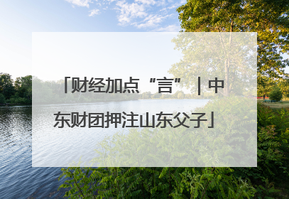 财经加点“言”｜中东财团押注山东父子