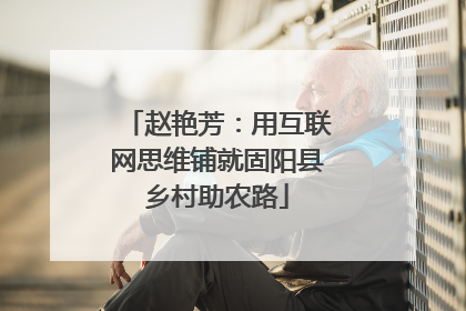 赵艳芳：用互联网思维铺就固阳县乡村助农路