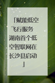 赋能低空飞行服务 湖南首个低空智联网在长沙县启动