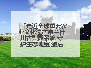 走近全球重要农业文化遗产皋兰什川古梨园系统 守护生态瑰宝 激活发展动能