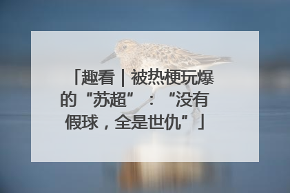 趣看｜被热梗玩爆的“苏超”：“没有假球，全是世仇”