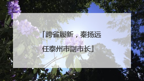 跨省履新，秦扬远任泰州市副市长
