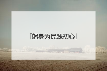 躬身为民践初心