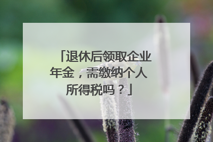 退休后领取企业年金，需缴纳个人所得税吗？