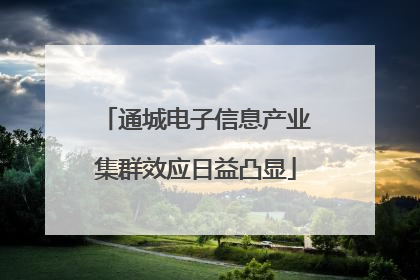 通城电子信息产业集群效应日益凸显