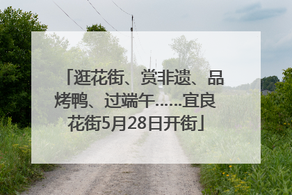 逛花街、赏非遗、品烤鸭、过端午……宜良花街5月28日开街