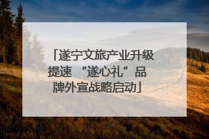 遂宁文旅产业升级提速 “遂心礼”品牌外宣战略启动