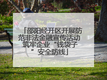 邵阳经开区开展防范非法金融宣传活动 筑牢企业“钱袋子”安全防线
