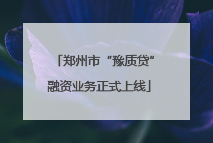 郑州市“豫质贷”融资业务正式上线