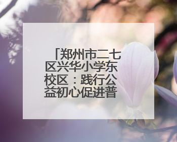 郑州市二七区兴华小学东校区：践行公益初心促进普特教育融合