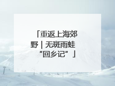 重返上海郊野｜无斑雨蛙“回乡记”