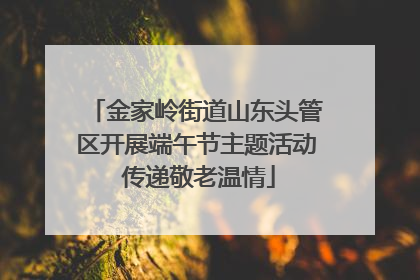 金家岭街道山东头管区开展端午节主题活动 传递敬老温情