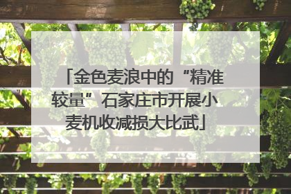 金色麦浪中的“精准较量”石家庄市开展小麦机收减损大比武