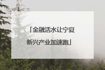 金融活水让宁夏新兴产业加速跑