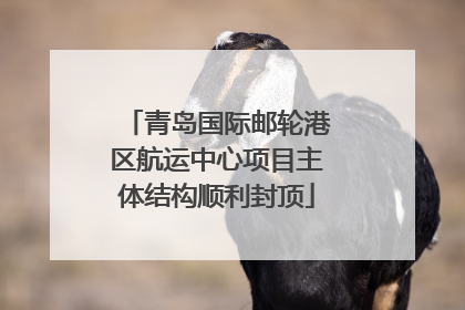 青岛国际邮轮港区航运中心项目主体结构顺利封顶