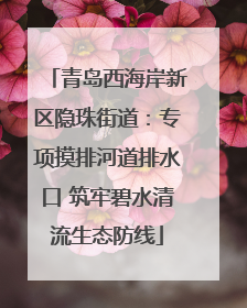 青岛西海岸新区隐珠街道：专项摸排河道排水口 筑牢碧水清流生态防线