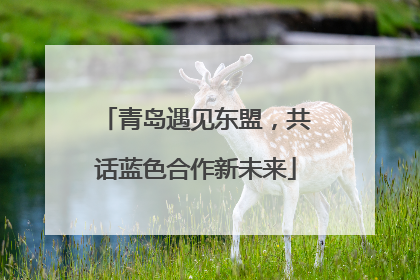 青岛遇见东盟，共话蓝色合作新未来