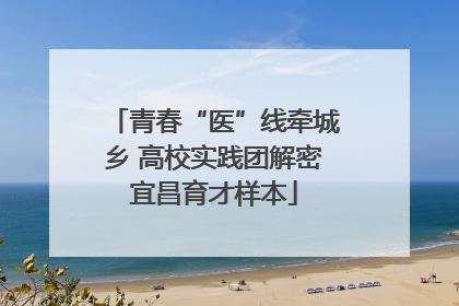 青春“医”线牵城乡 高校实践团解密宜昌育才样本