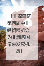 非媒盛赞第四届中非经贸博览会为非洲各国带来发展机遇