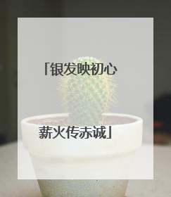 银发映初心 薪火传赤诚