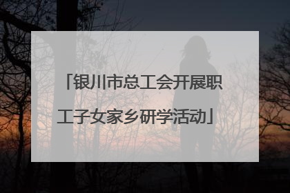 银川市总工会开展职工子女家乡研学活动