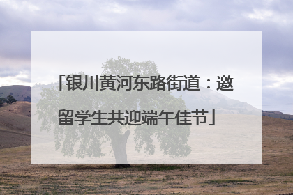 银川黄河东路街道：邀留学生共迎端午佳节