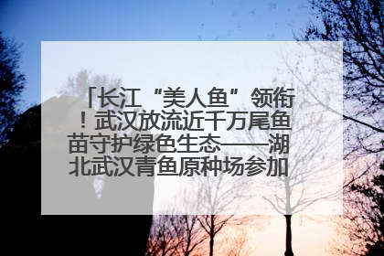 长江“美人鱼”领衔！武汉放流近千万尾鱼苗守护绿色生态——湖北武汉青鱼原种场参加2025年“全国放鱼日”增殖放流活动