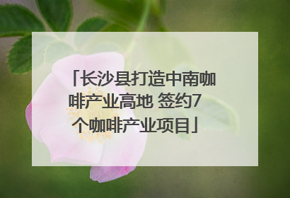 长沙县打造中南咖啡产业高地 签约7个咖啡产业项目